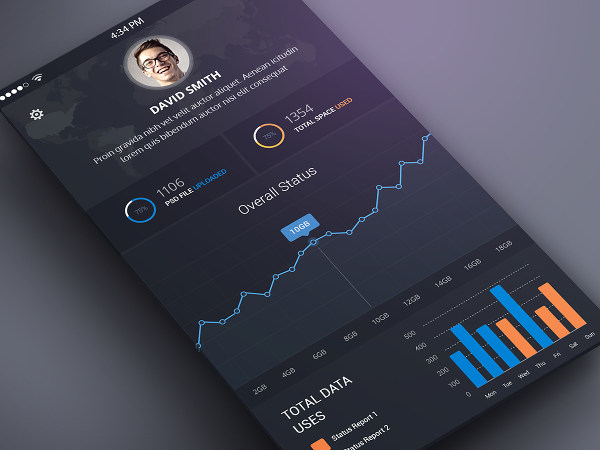 Dashboard on a mobile phone. It's important to know which display type your users will be using